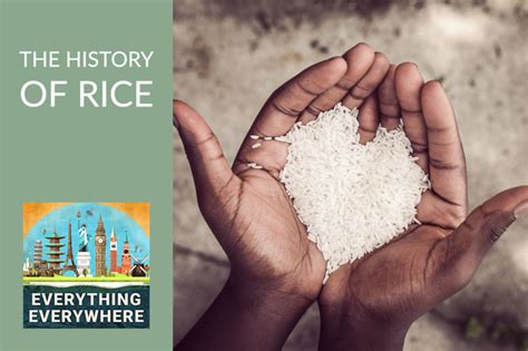 paylay|the history of rice.